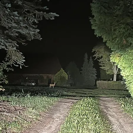 W Xix-wiecznym Spichlerzu Nad Jeziorem Z Dostepem Do Parku I Widokiem Na Dworek Modrzewiowy Z 1823 Roku