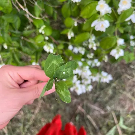 W Xix-wiecznym Spichlerzu Nad Jeziorem Z Dostepem Do Parku I Widokiem Na Dworek Modrzewiowy Z 1823 Roku Szteklin