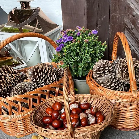 W Xix-wiecznym Spichlerzu Nad Jeziorem Z Dostepem Do Parku I Widokiem Na Dworek Modrzewiowy Z 1823 Roku