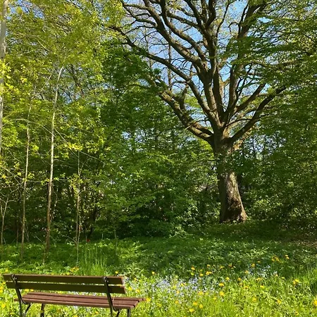 W Xix-wiecznym Spichlerzu Nad Jeziorem Z Dostepem Do Parku I Widokiem Na Dworek Modrzewiowy Z 1823 Roku 公寓 Szteklin