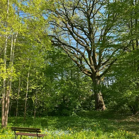 شقة W Xix-wiecznym Spichlerzu Nad Jeziorem Z Dostepem Do Parku I Widokiem Na Dworek Modrzewiowy Z 1823 Roku Szteklin