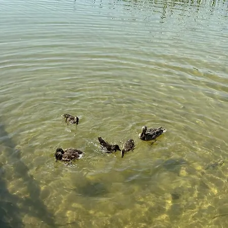W Xix-wiecznym Spichlerzu Nad Jeziorem Z Dostepem Do Parku I Widokiem Na Dworek Modrzewiowy Z 1823 Roku * Szteklin