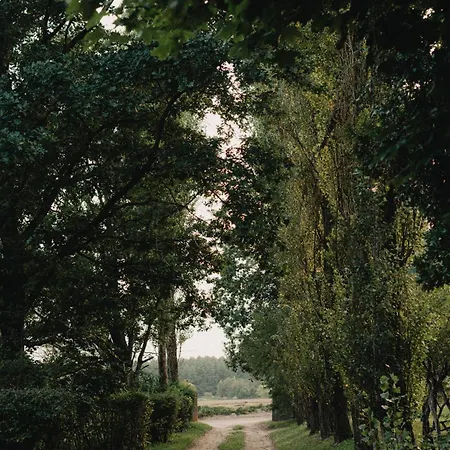 Daire W Xix-wiecznym Spichlerzu Nad Jeziorem Z Dostepem Do Parku I Widokiem Na Dworek Modrzewiowy Z 1823 Roku