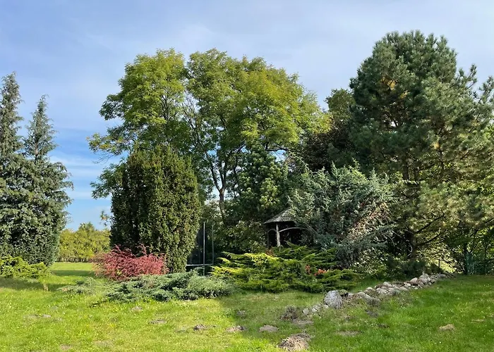 W Xix-wiecznym Spichlerzu Nad Jeziorem Z Dostepem Do Parku I Widokiem Na Dworek Modrzewiowy Z 1823 Roku Daire