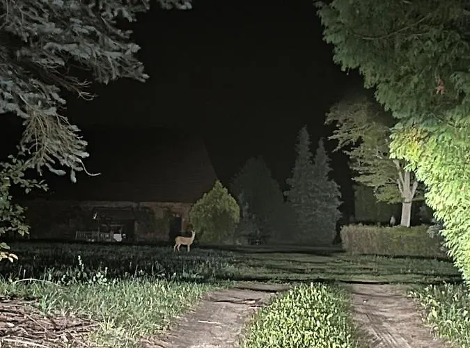 W Xix-wiecznym Spichlerzu Nad Jeziorem Z Dostepem Do Parku I Widokiem Na Dworek Modrzewiowy Z 1823 Roku