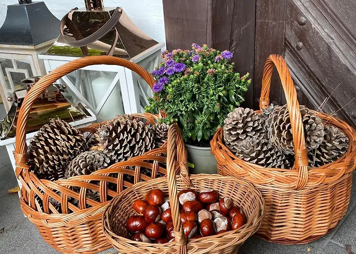 W Xix-wiecznym Spichlerzu Nad Jeziorem Z Dostepem Do Parku I Widokiem Na Dworek Modrzewiowy Z 1823 Roku