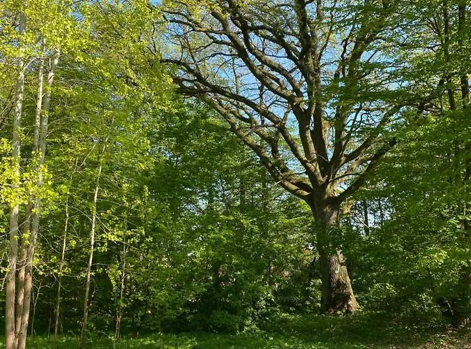 Daire W Xix-wiecznym Spichlerzu Nad Jeziorem Z Dostepem Do Parku I Widokiem Na Dworek Modrzewiowy Z 1823 Roku Szteklin