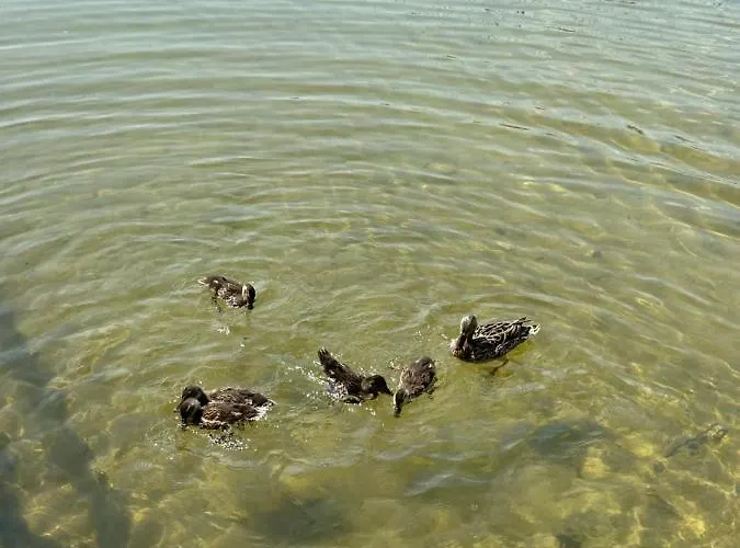 W Xix-wiecznym Spichlerzu Nad Jeziorem Z Dostepem Do Parku I Widokiem Na Dworek Modrzewiowy Z 1823 Roku * Szteklin