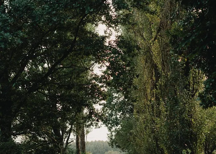 Daire W Xix-wiecznym Spichlerzu Nad Jeziorem Z Dostepem Do Parku I Widokiem Na Dworek Modrzewiowy Z 1823 Roku